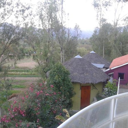 La Pasarela Hotel Tarija Kültér fotó