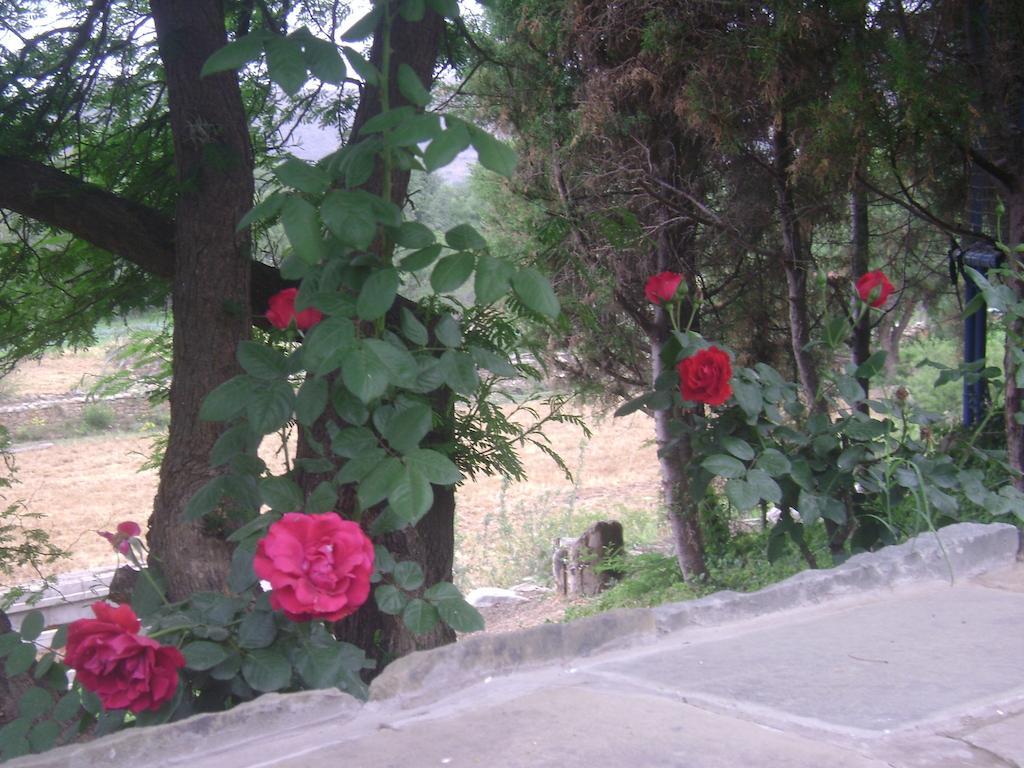 La Pasarela Hotel Tarija Kültér fotó